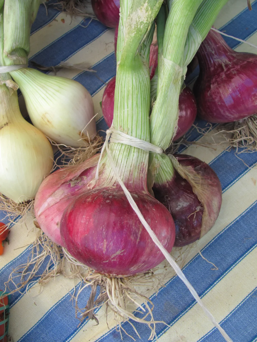 Rossmoor Farmers' Market — California Farmers' Markets Association